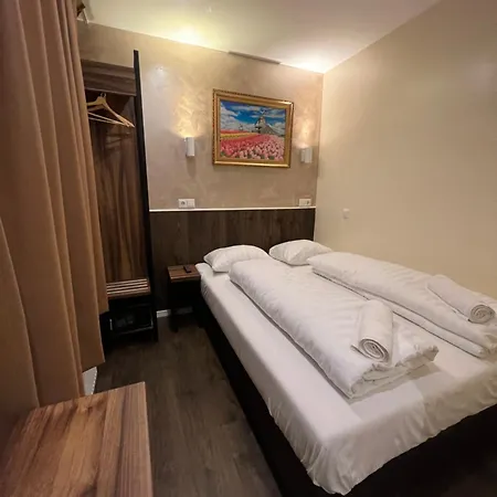 Orange Tulip 암스테르담