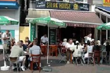 Orange Tulip 암스테르담