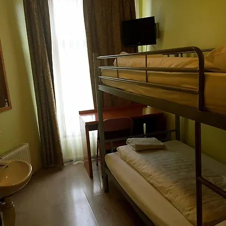 Orange Tulip * 암스테르담