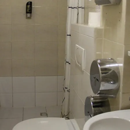 Orange Tulip * 암스테르담