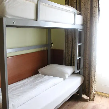 Orange Tulip 암스테르담