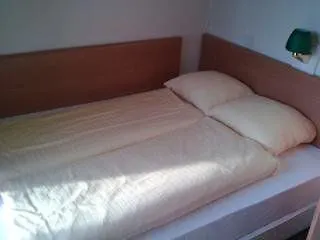 Orange Tulip * 암스테르담