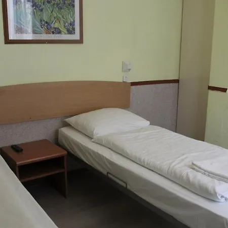 Orange Tulip 암스테르담