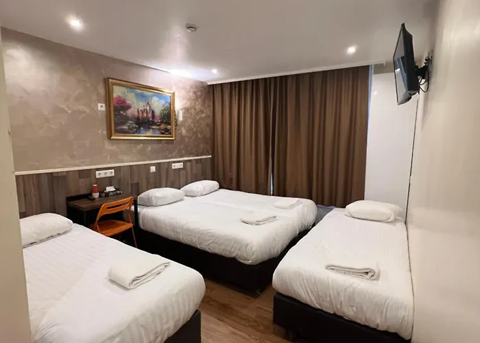 Orange Tulip Amsterdam