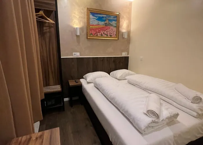 Orange Tulip Amsterdam