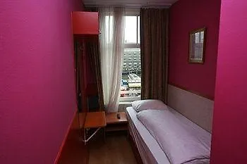 Orange Tulip Amsterdam