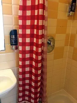 Orange Tulip * Amsterdam