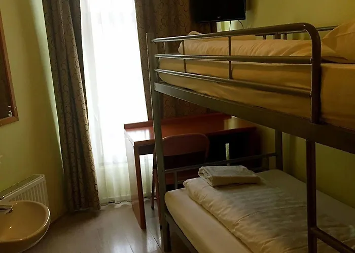 Orange Tulip * Amsterdam