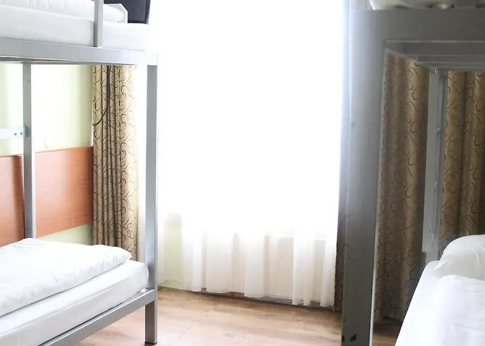 Orange Tulip Amsterdam