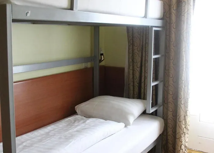 Orange Tulip Amsterdam