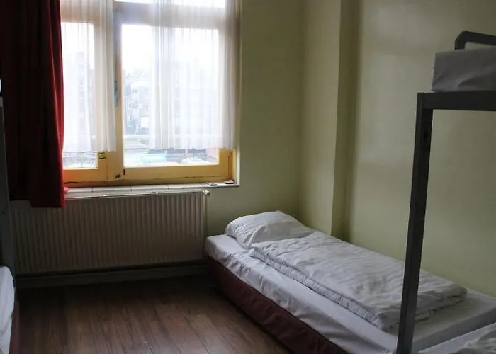 Orange Tulip * Amsterdam